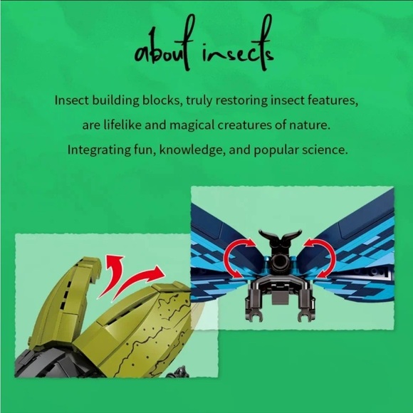 Butterfly 🦋 Insect Series Bug Collection - Picture 4 of 7